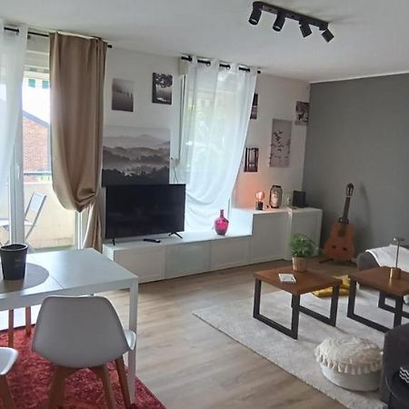 Stylish 1-Bedroom Flat With Beautiful Terrace , For A Cosy Retreat Strasbourg Exterior photo