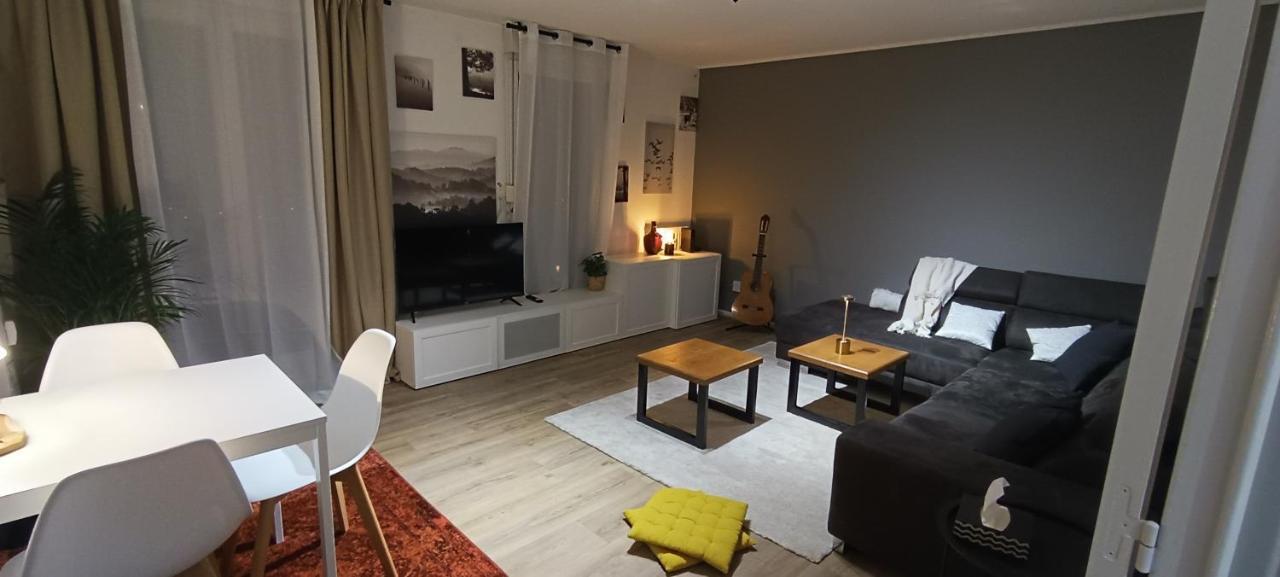 Stylish 1-Bedroom Flat With Beautiful Terrace , For A Cosy Retreat Strasbourg Exterior photo