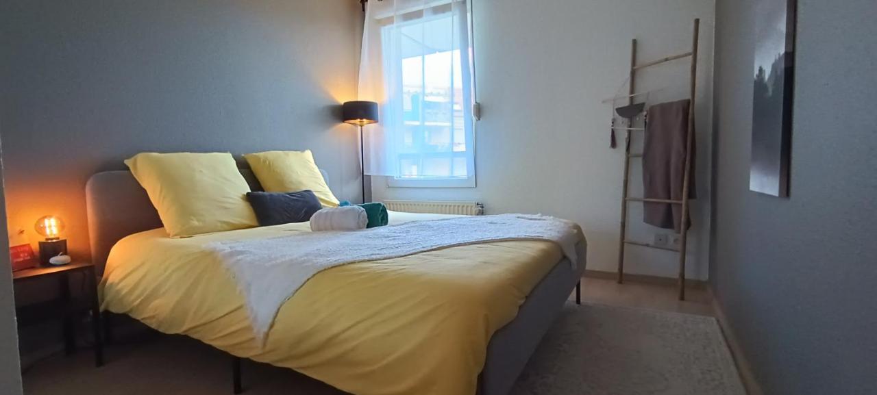 Stylish 1-Bedroom Flat With Beautiful Terrace , For A Cosy Retreat Strasbourg Exterior photo